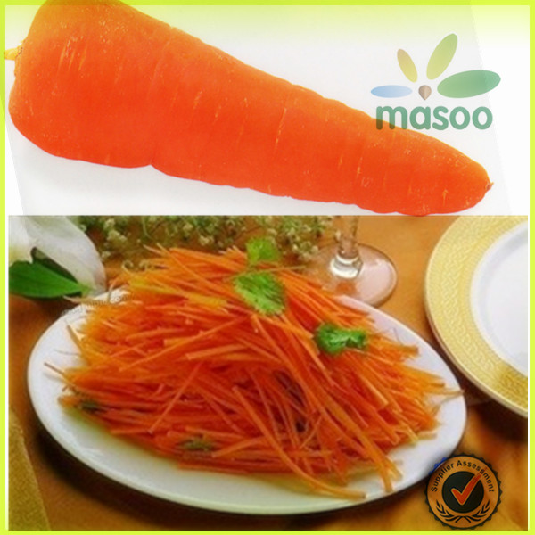 2014 Crop Chinese High Quality Fresh Carrot with Low Price / black carrot / plush rabbit with carrot