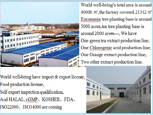 Cocoa extract theobromine
