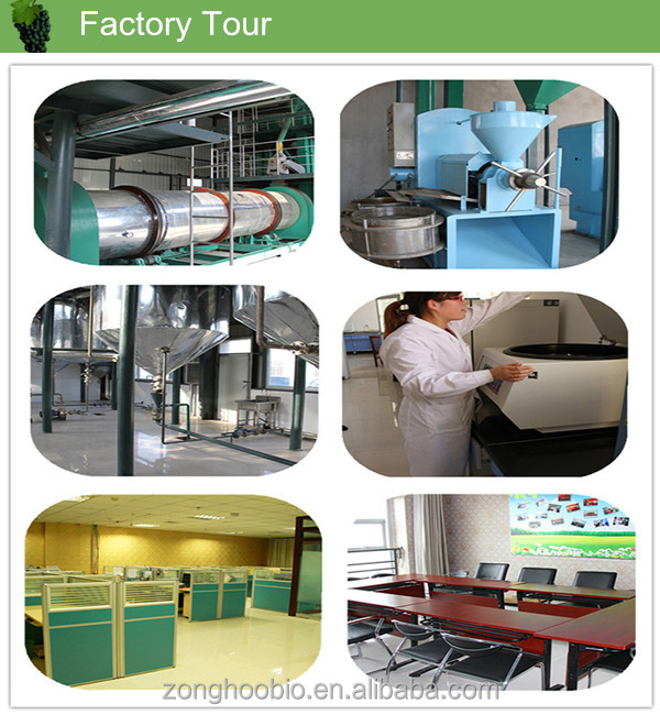 Natural Grape seed oil,China zonghoobio price supplier 21food