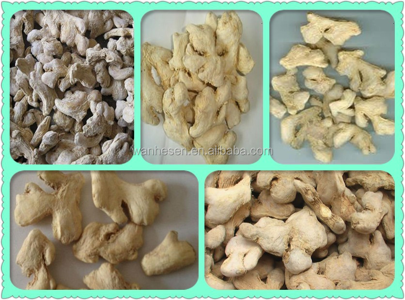 20kg Mesh Bag Package Air Dry Ginger