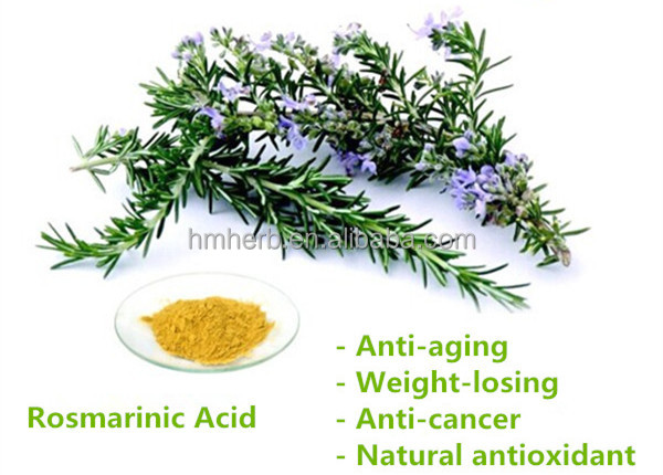 GMP Factory offer Nutritional Supplements/Antioxidant Rosemary leaf extract 2.5%-98% Rosmarinic acid