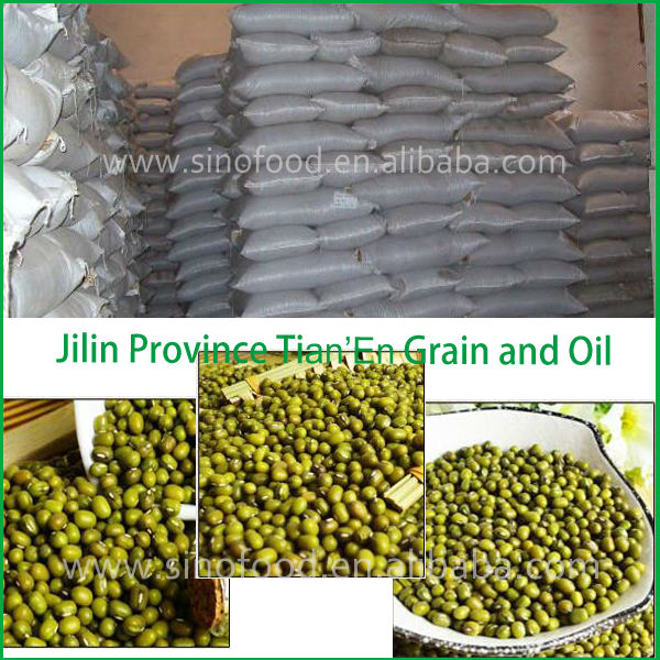 Dry high quality bulk green mung bean with a good price (Skype: live:wangqiudantt)