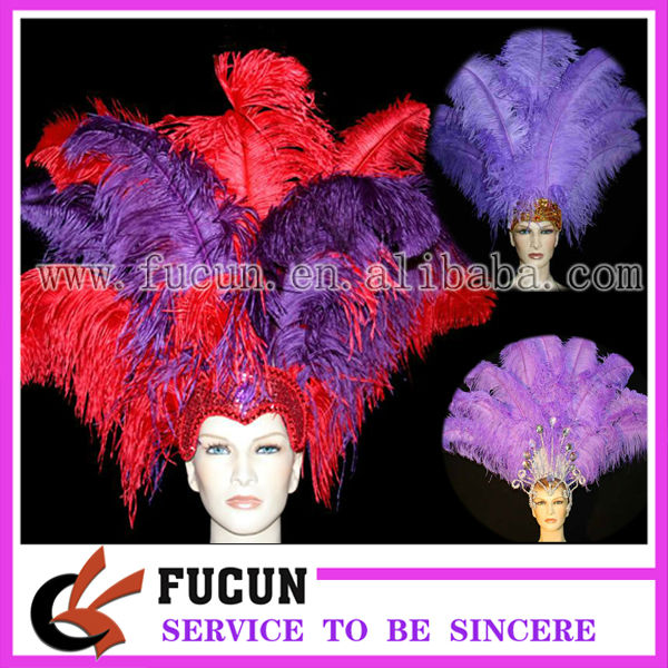 ostrich feather1