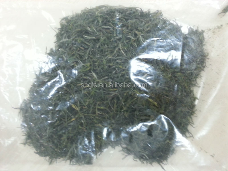 China famous green tea