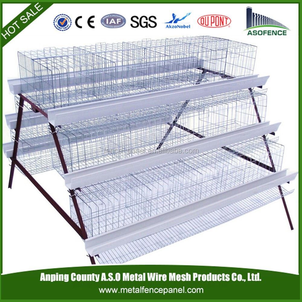 China manufacture hot sale kenya chicken farm hot sale layer poultry 