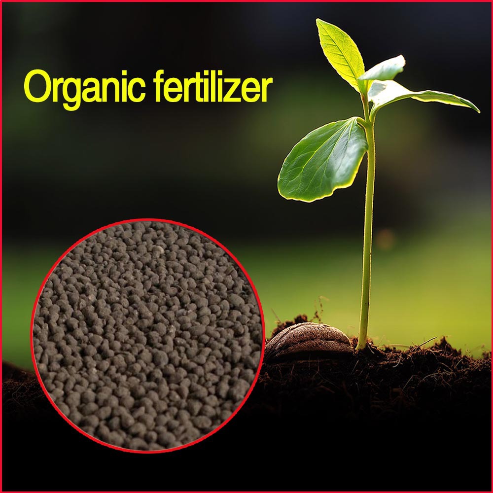 feed grade organic fertilizer for sale