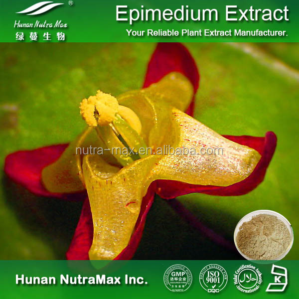 Epimedium 1.jpg