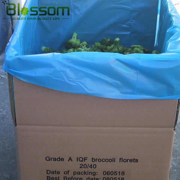 bulk iqf frozen broccoli frozen vegetables green cauliflower