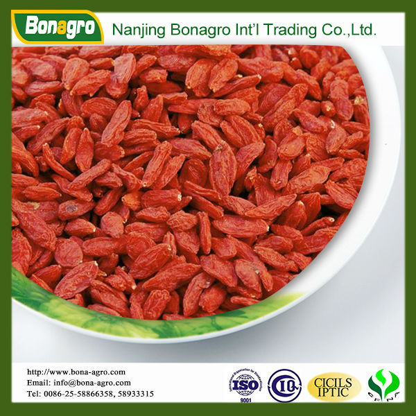 chinese ningxia goji berries