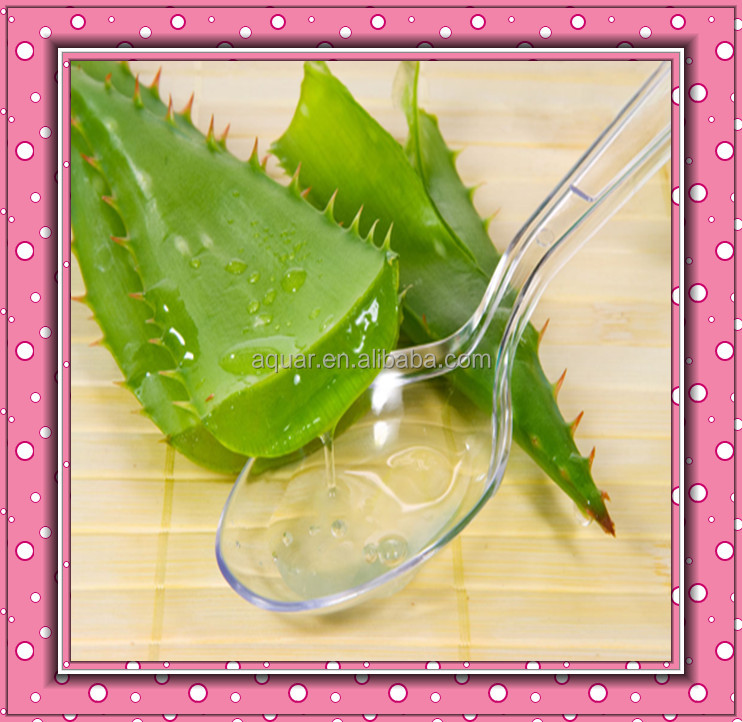 Chinese manufacturer supply Aloe Vera extract powder 95%