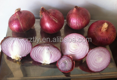 2014 high grade red onion hot sale In China