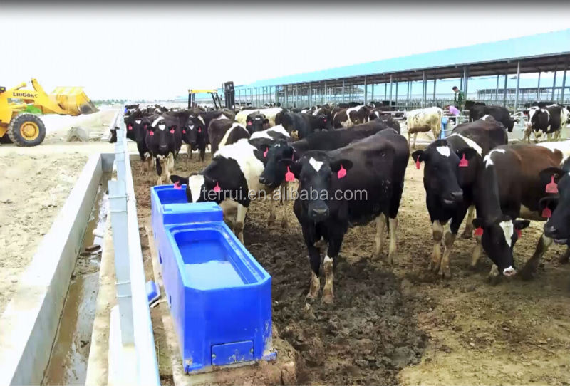 Premier Large Heated Water Trough For Cattle,Horse Buy Drinking Tank
