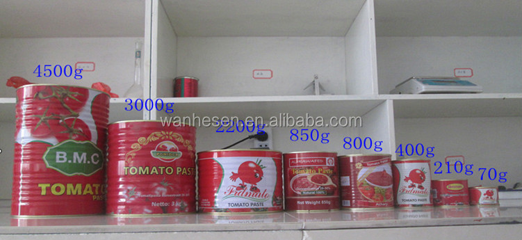 small can tomato paste in the aseptic packing export to africa market