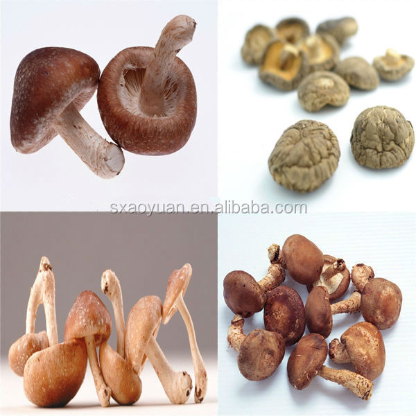 Top Quality Soybean Extract Soy Isoflavone