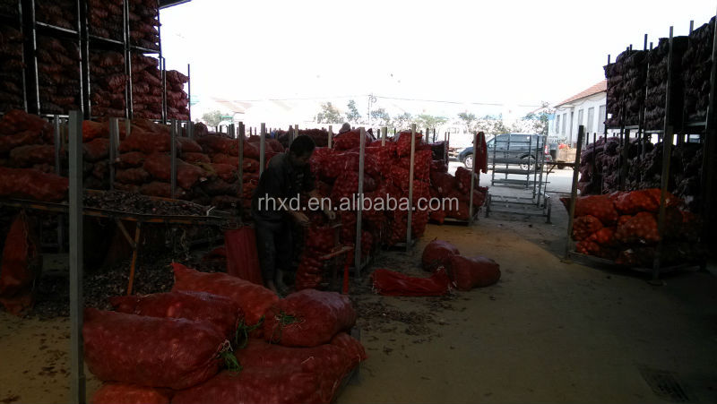 2014 new crop onion seeds for sale