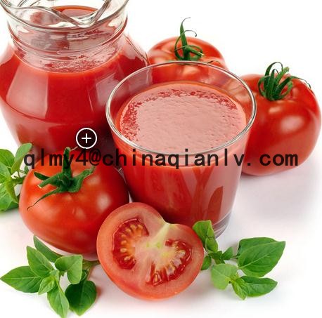 2014 NEW TOMATO PASTE 1KG