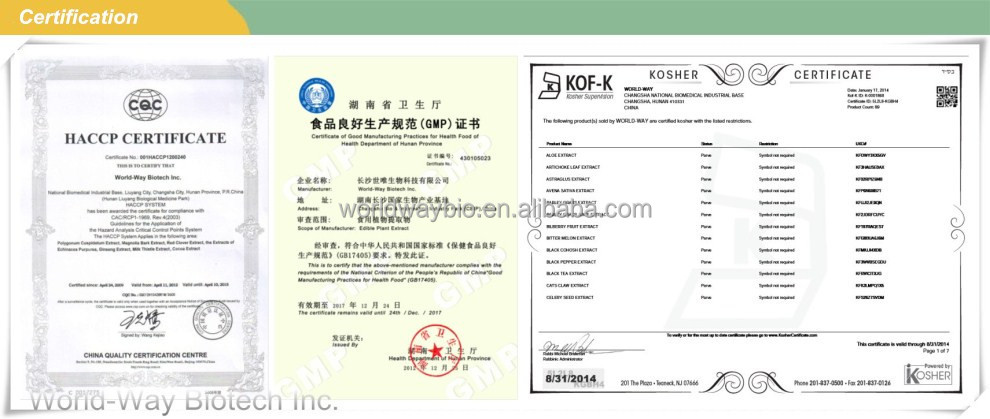 piperine free sample HACCP KOSHER GMP certified China factory food grade black pepper powder bulk piperine extract 10%