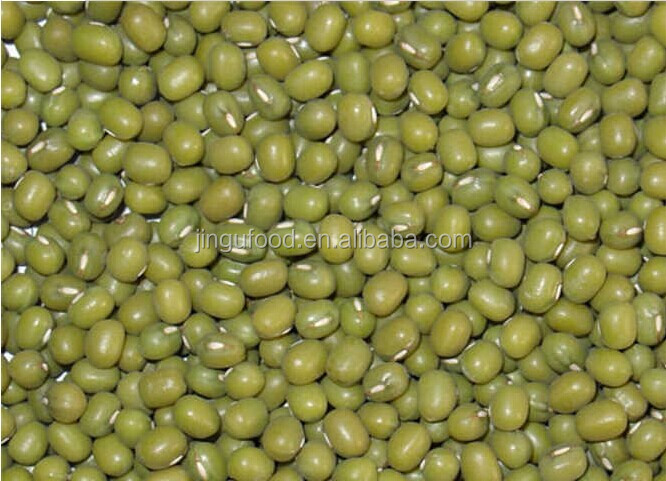 Frozen and Dried Green Beans