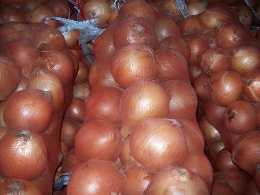 fresh yellow onion