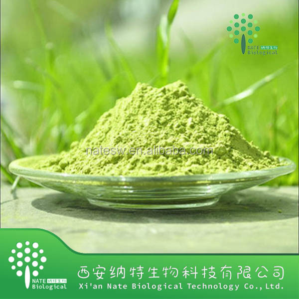 Factory supply healthy food Green Tea Extract Powder