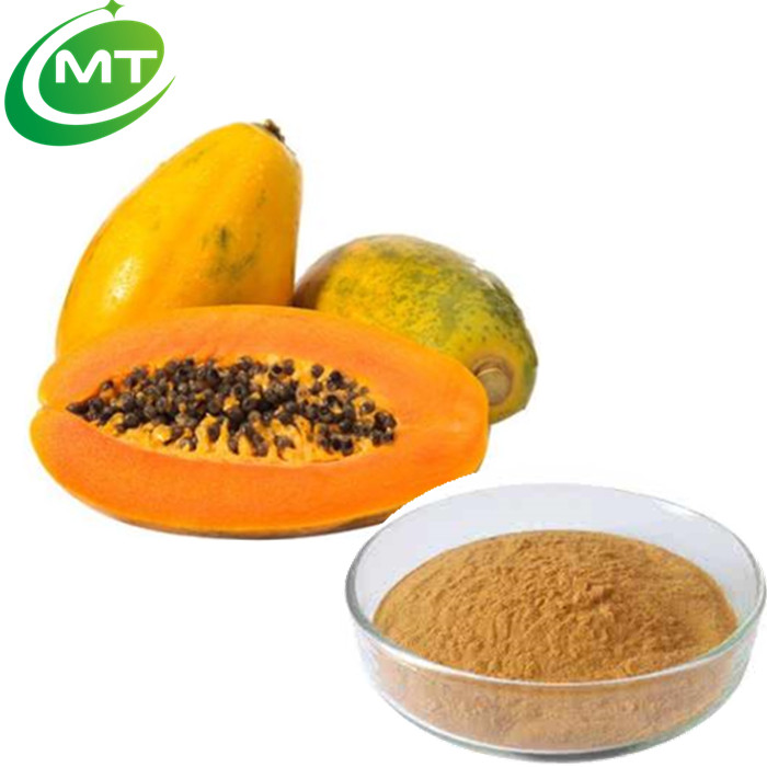 100 Pure Natural Papain 600u/mg Carica Papaya Extract Buy Papaya Fruit Extract,Papaya Fruit