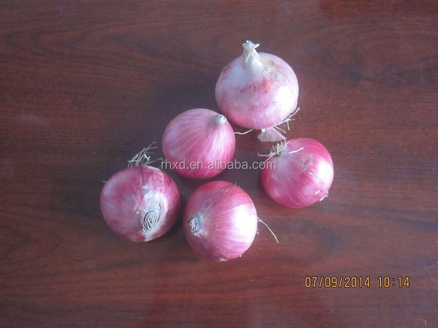 2014 new crop fresh red onion with good price
