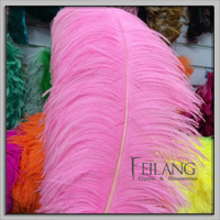 長い金色のfeilang全体の販売のために羽をキジの装飾問屋・仕入れ・卸・卸売り