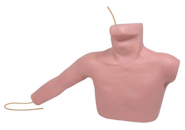 L67A Peripheral Puncture and Central Venous Puncture Model.jpg