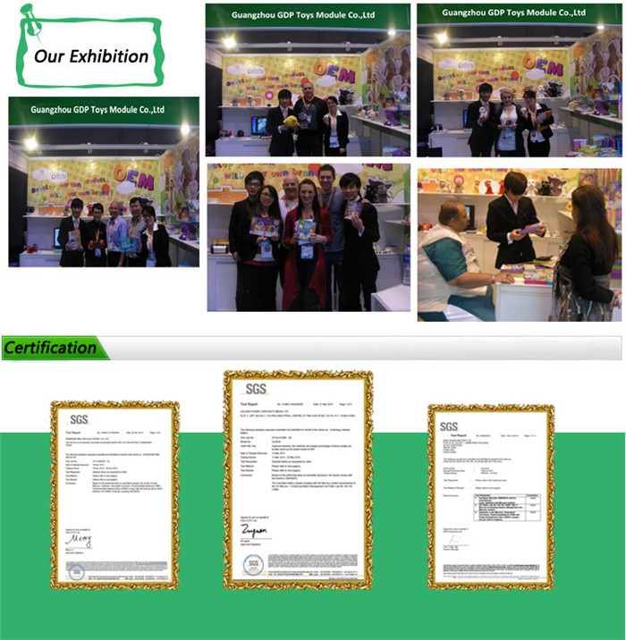 Exhibition & Certification