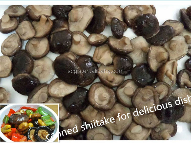 high quality canned shiitake mushroom slice