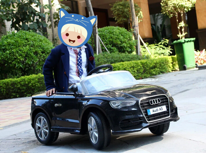 audi baby car price