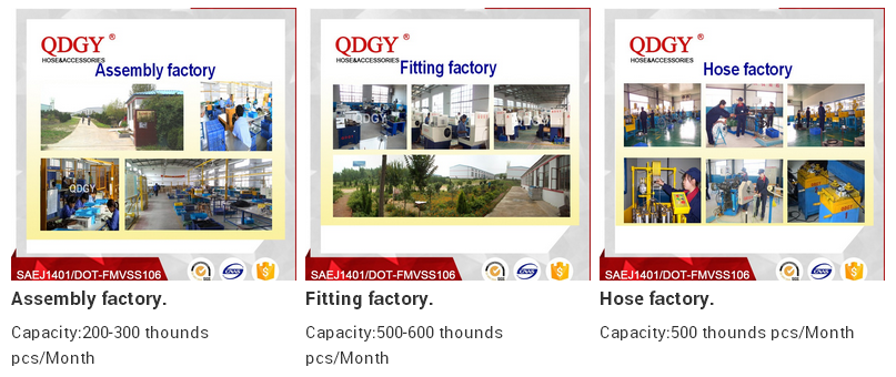 Our Company.png