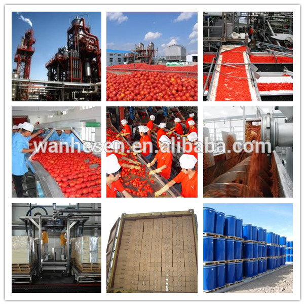 3000g tomato paste processing line