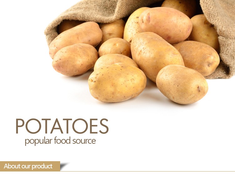 Potato-_01.jpg