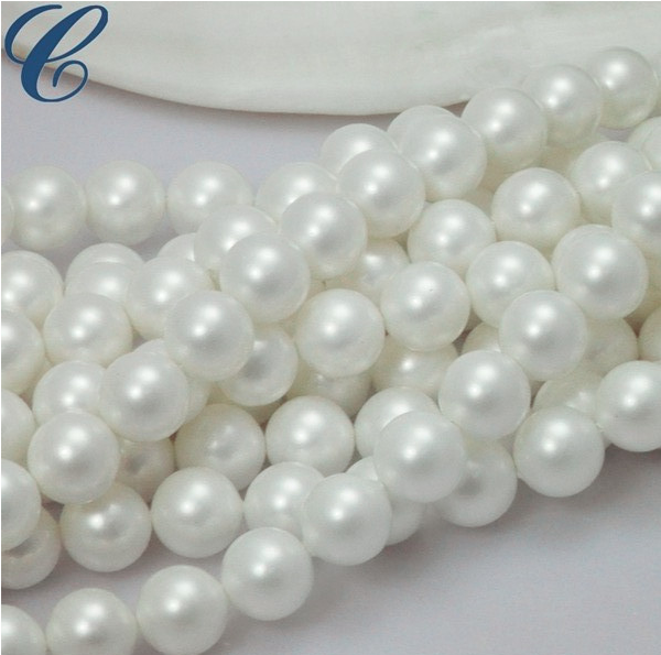 shell pearl.png