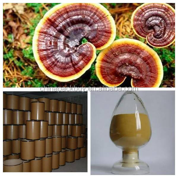 High quality Ganoderma Lucidum Extract