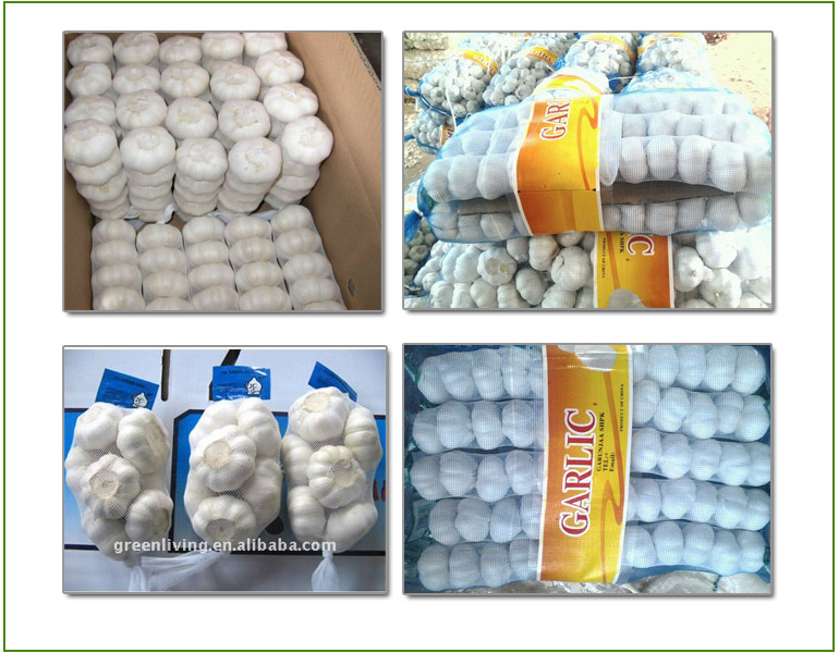 Fresh White Garlic/Sharp Taste/Nutritious (Low Price)