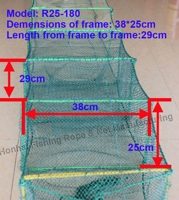 frame pictures size .jpg
