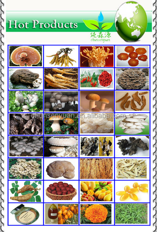 Coriolus Mushroom P.E 10% to 60% Polysacchrides exprot to norway