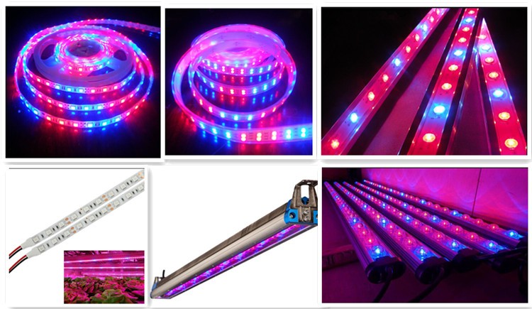 水耕温室フルスペクトラムsmd 5730 led成長ライトストリップ仕入れ・メーカー・工場