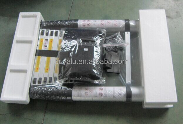 Telescopic Ladder Packing.jpg