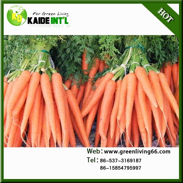 Carrot Net Sack For Market
