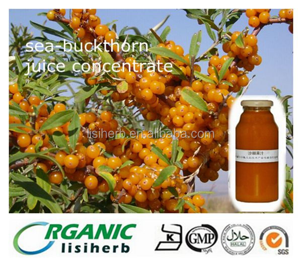seabuckthorn oil