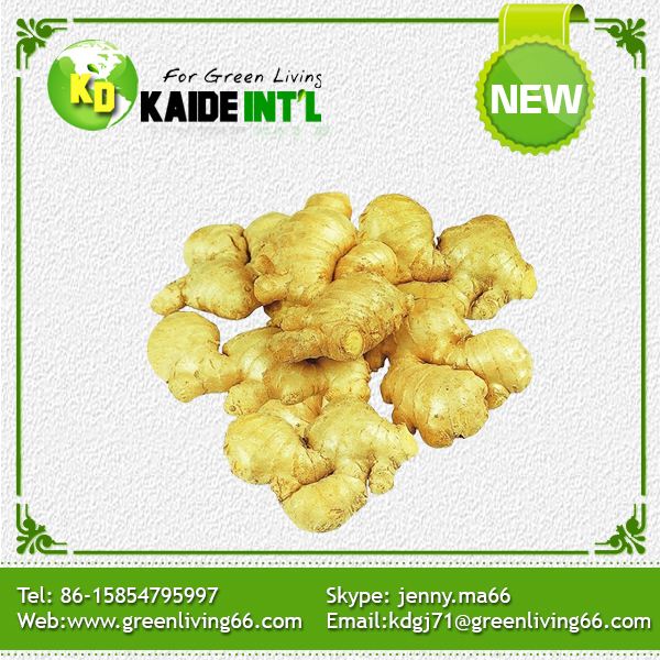 Fresh Ginger Packed In Pvc Box