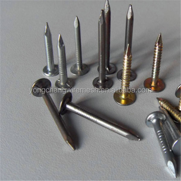 iron common nail