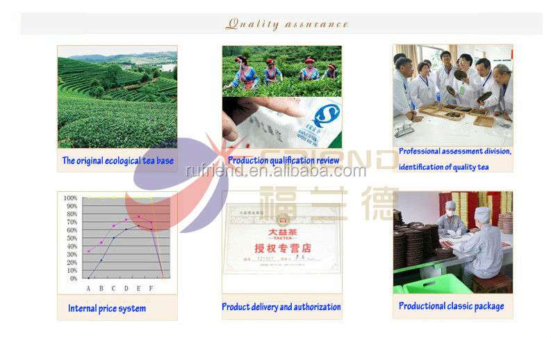 Chinese fit compressed empty grapefruit tea bag
