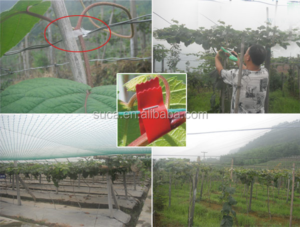ブドウとバインダーsucatapetoolマシンは中国製。問屋・仕入れ・卸・卸売り
