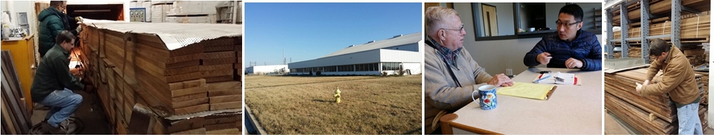 High frequency vacuum Wood drying machine /Timber dryer chamber /Lumber drier oven/Logs drying kiln