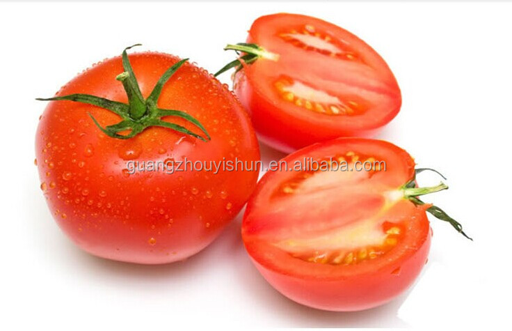 10g Tomato Paste/Sauce/Ketchup/Puree in Sachet
