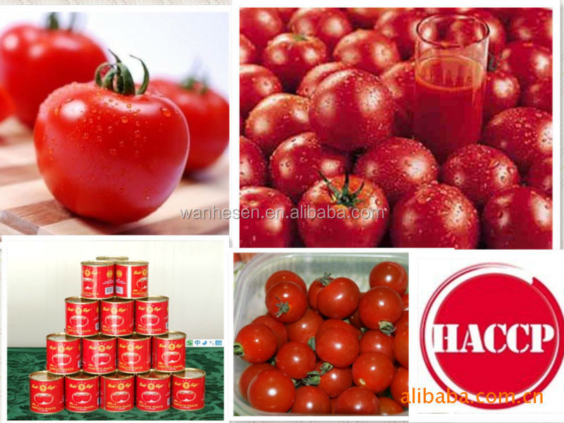 Low Price Wholesale tomato paste processing plant